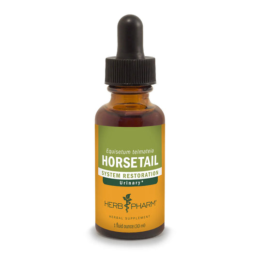 Horsetail Extract