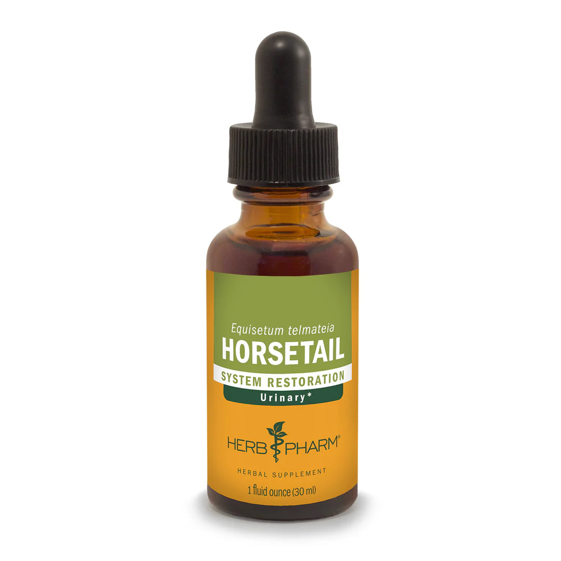 Horsetail Extract