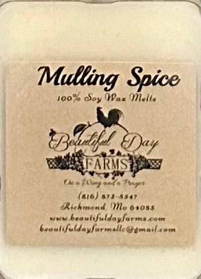 Beautiful Day Farm  Candles