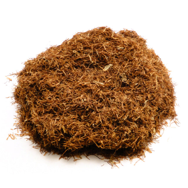 Cornsilk