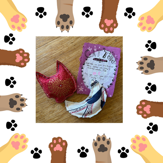 Catnip Toy