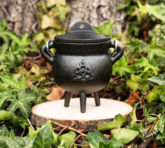 Cast Iron Cauldron w/lid