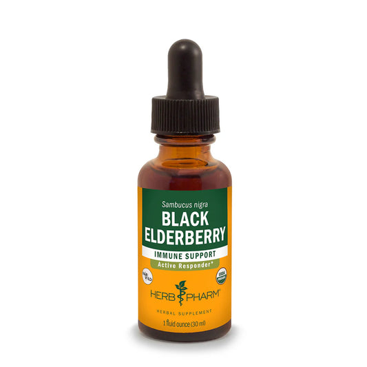 Elderberry Extract