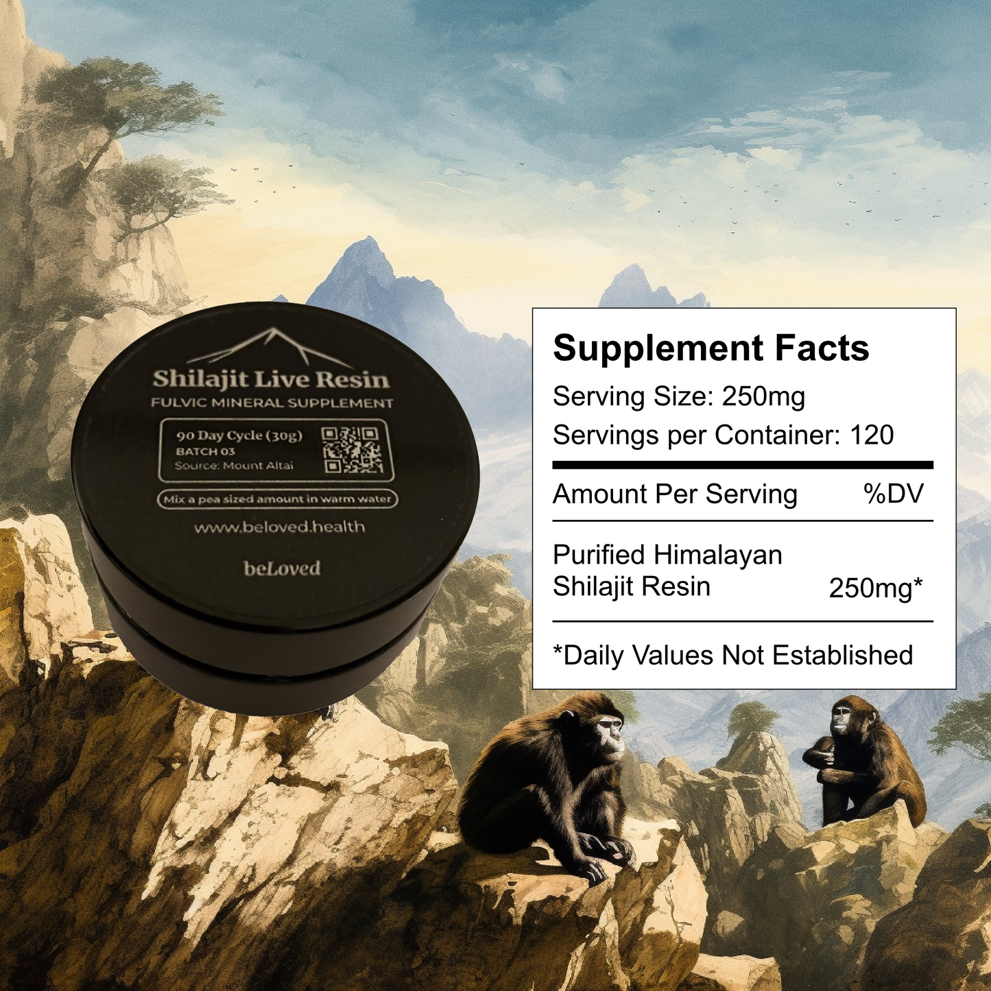 Shilajit 90 Day Cycle