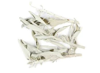 White Sage 1oz