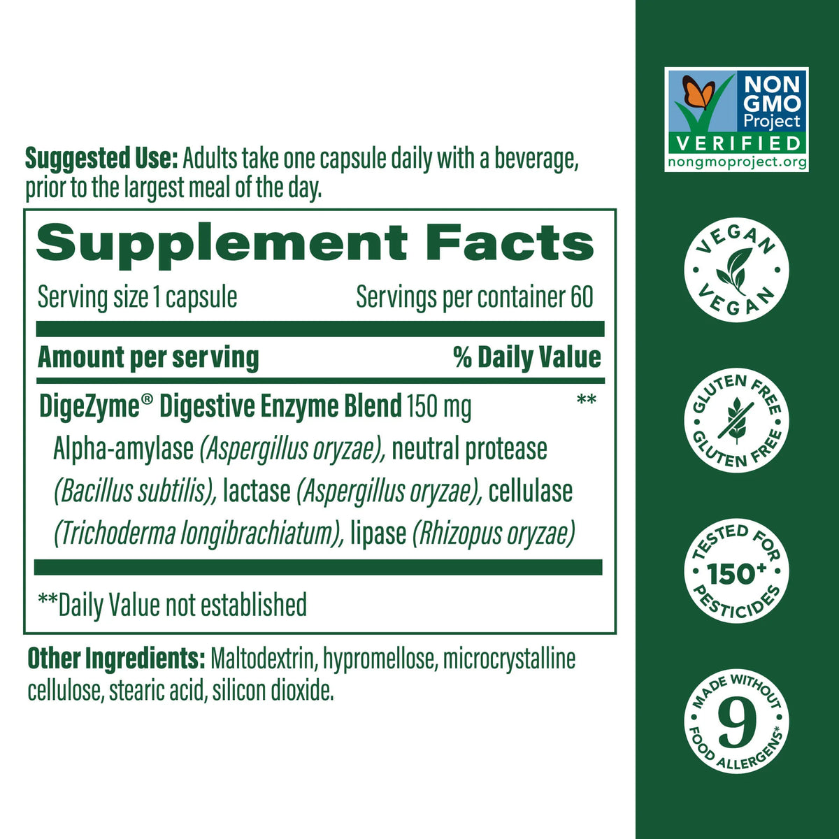 Digestive Enzymes