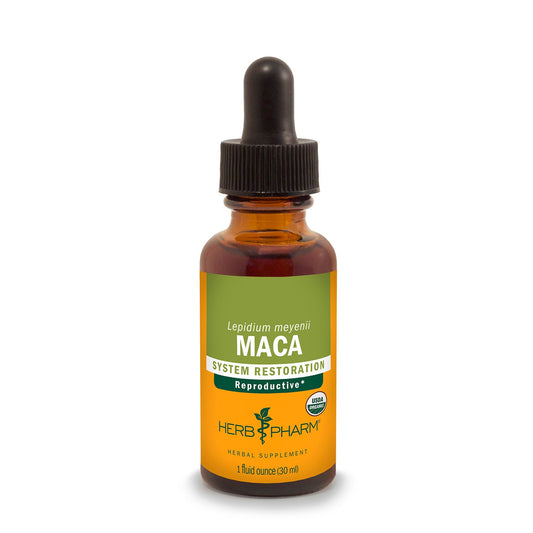 Maca Extract