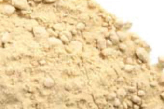 Shatavari powder