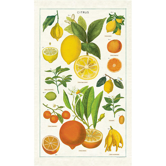 Cavallini~Tea Towel