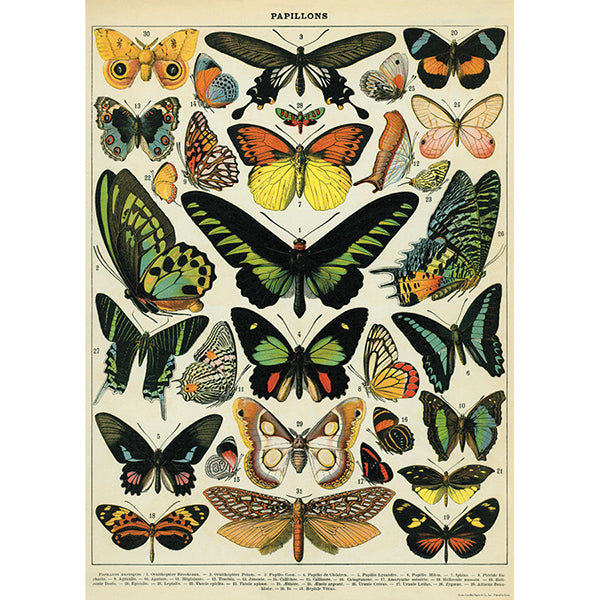 Cavallini~Poster