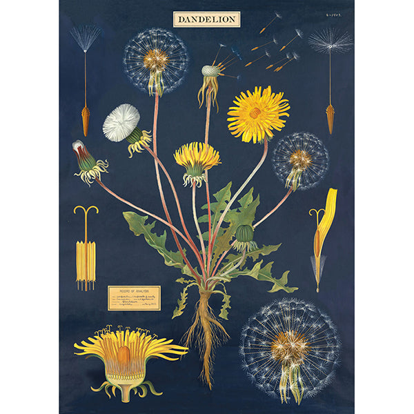 Cavallini~Poster