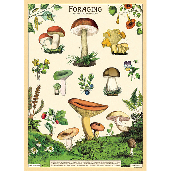 Cavallini~Poster