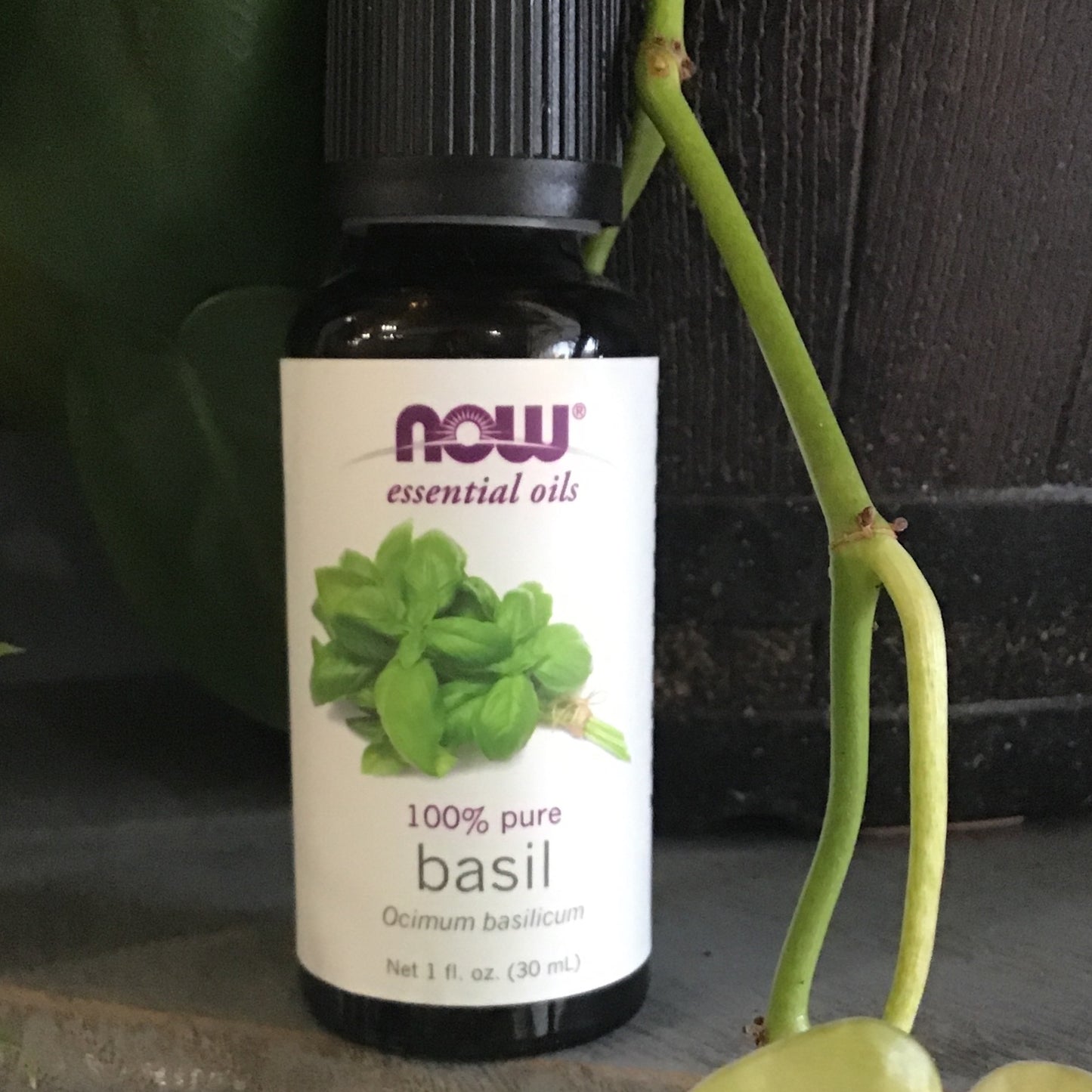Basil oil 1oz