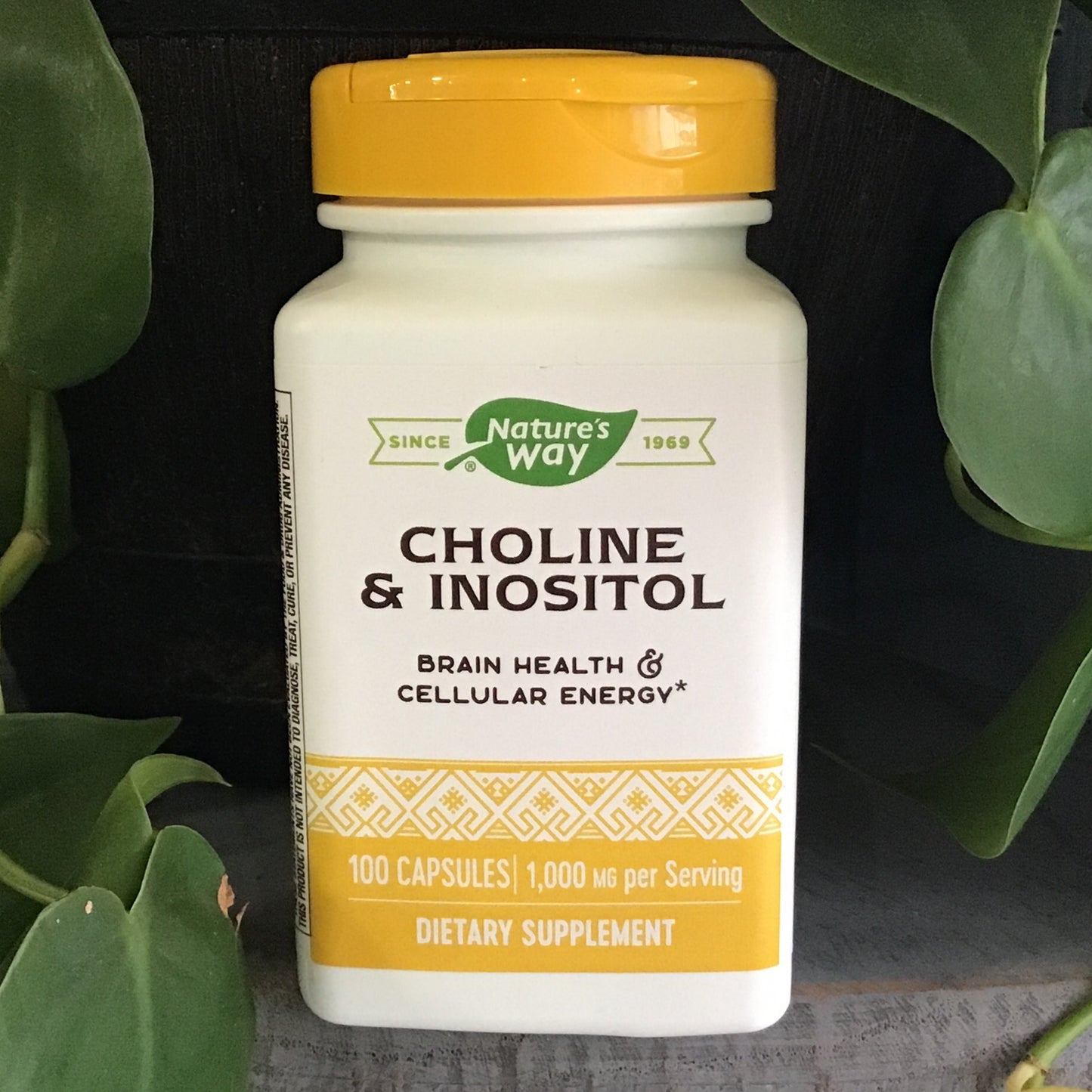 Choline & Inositol 100 Vcaps
